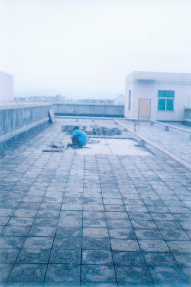 ͼ����������