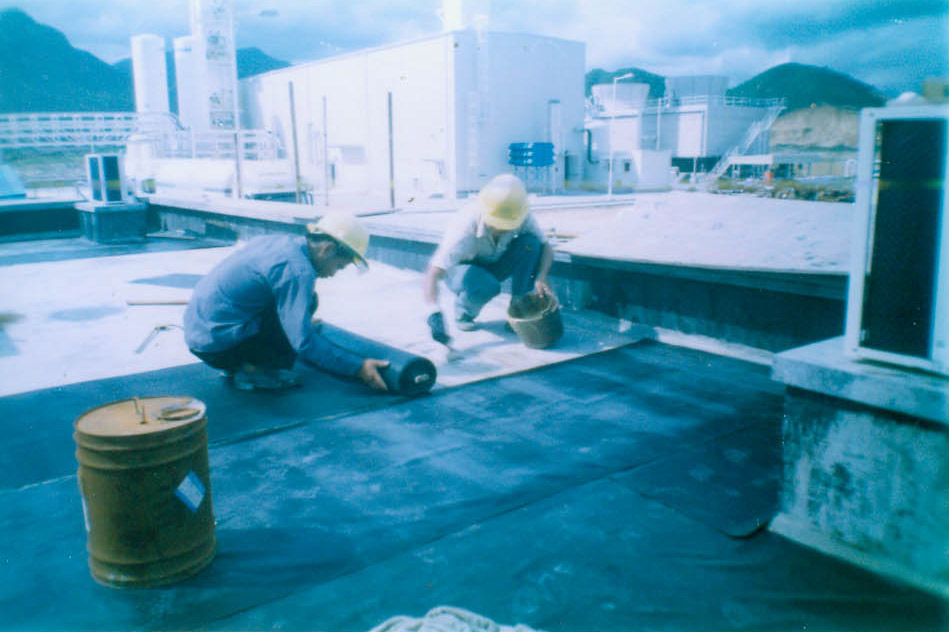 �ղ˿�˹ʩ���ֳ�